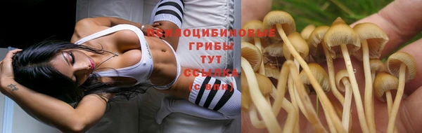 гашиш Алексеевка